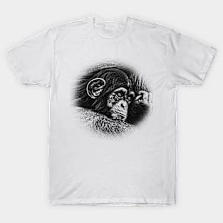 Baby chimpanzee T-Shirt